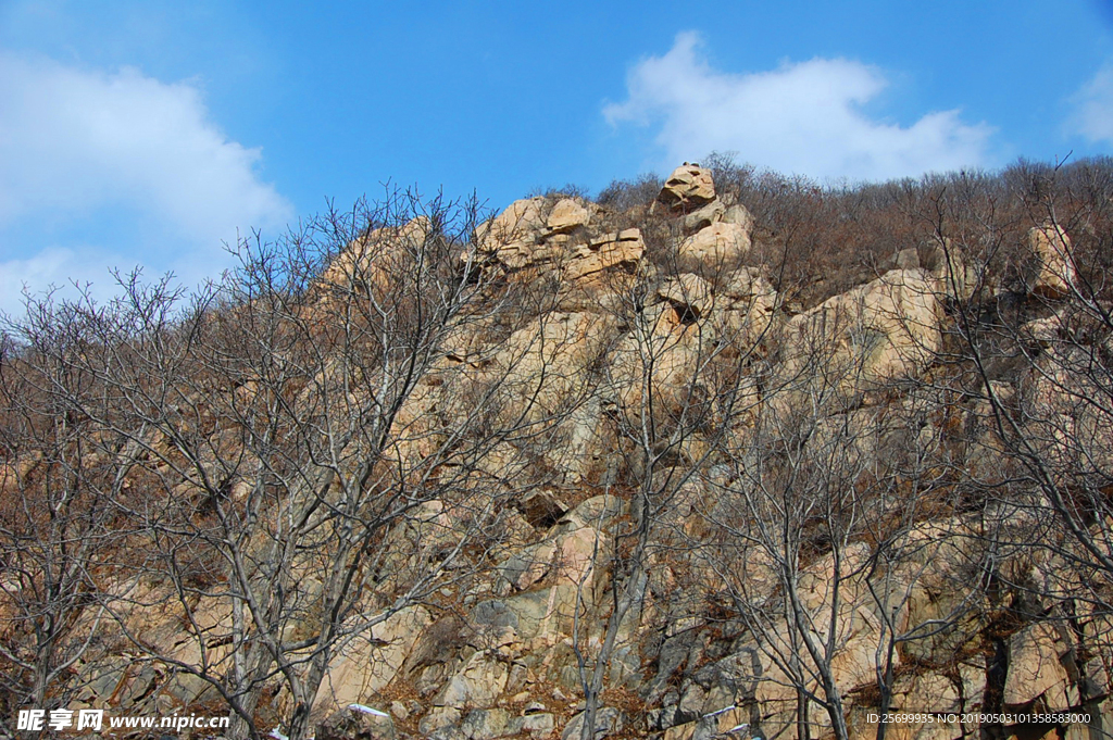 山