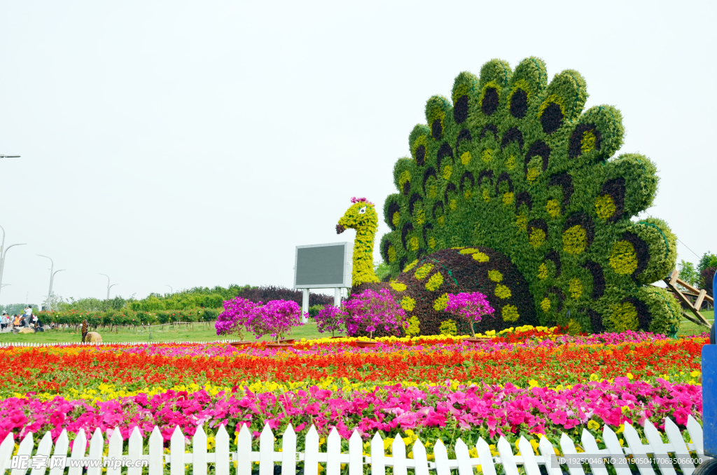 花壇