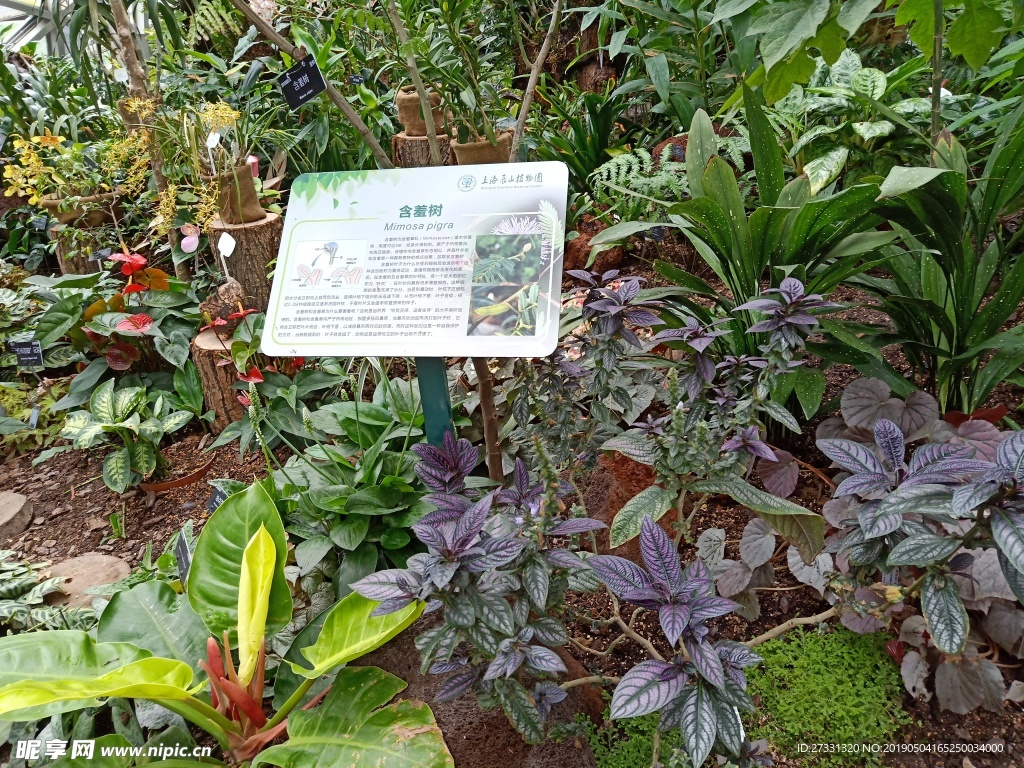 植物園