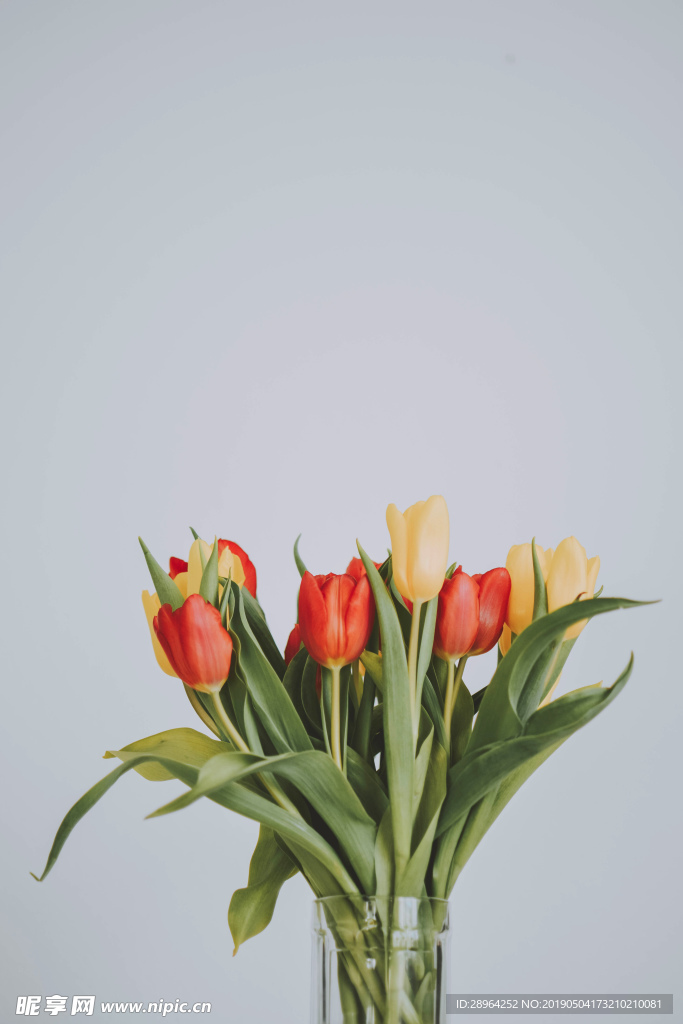 紅黃花束