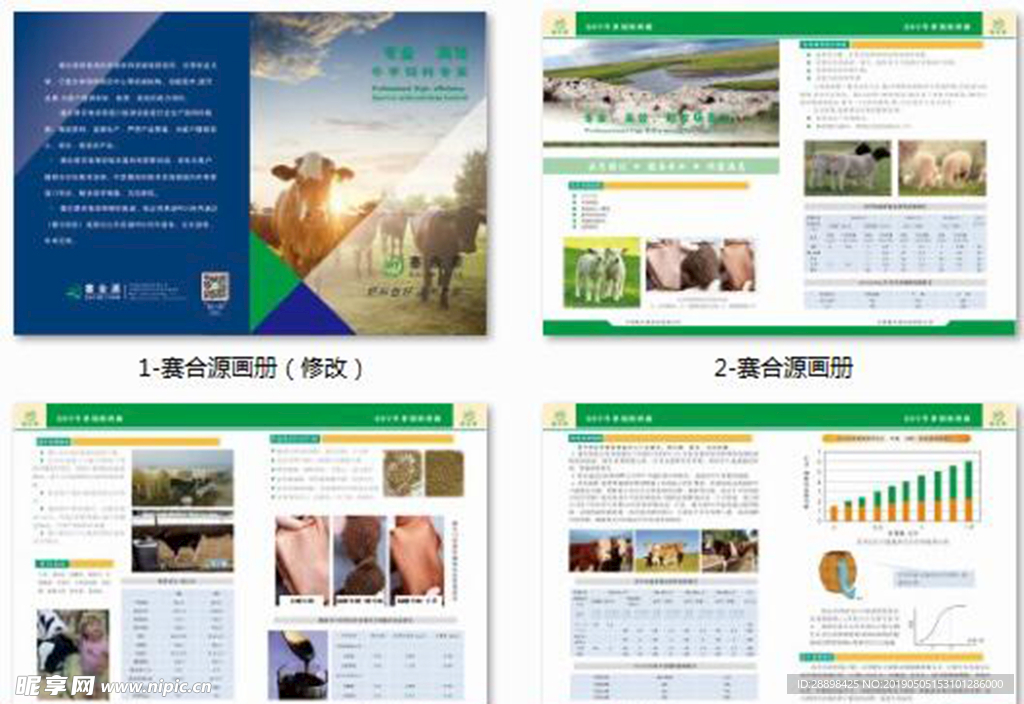 绿色牛羊宣传画册