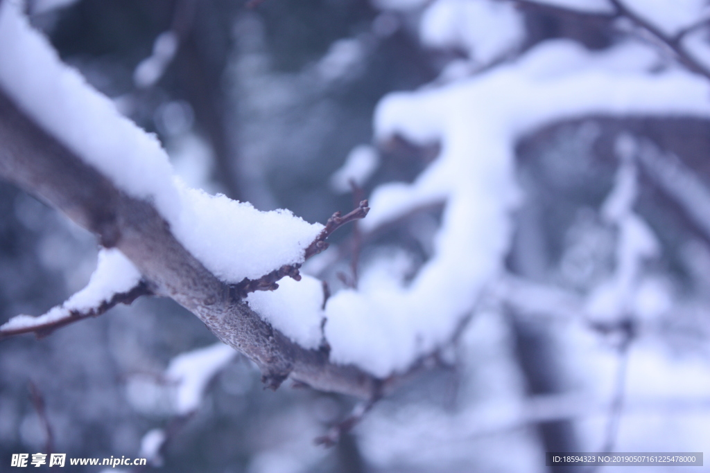 雪