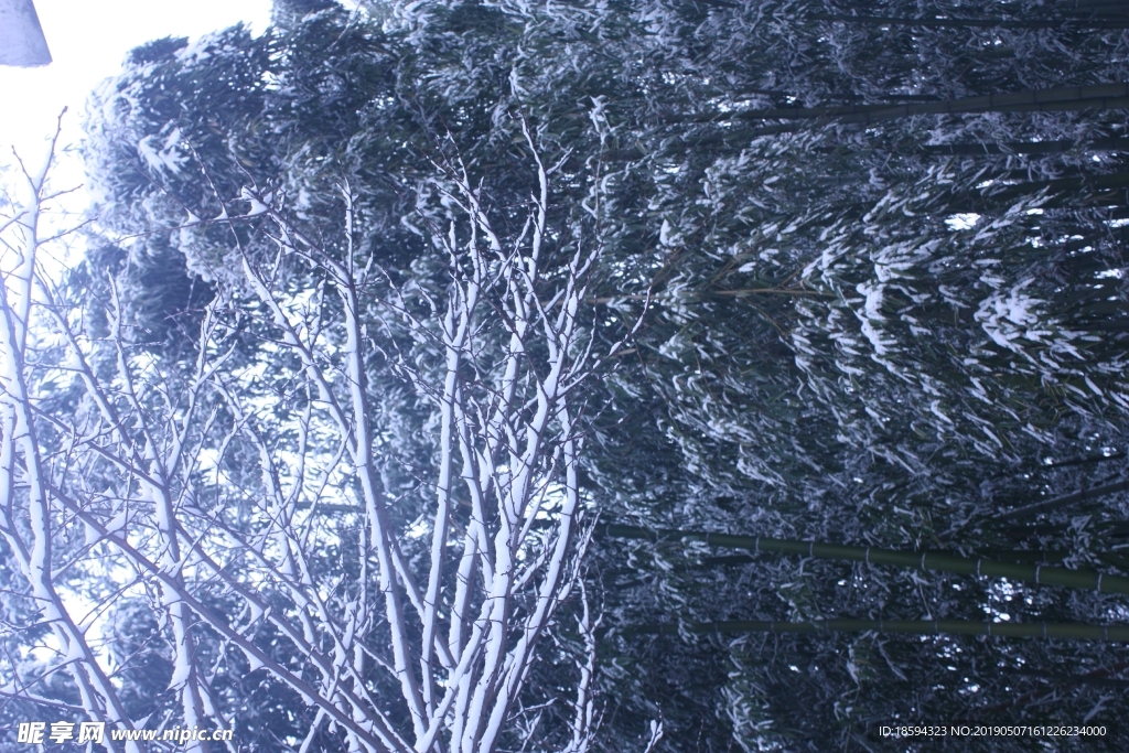雪景