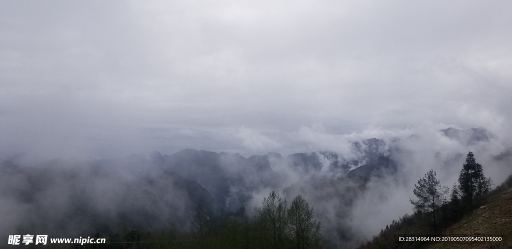 山