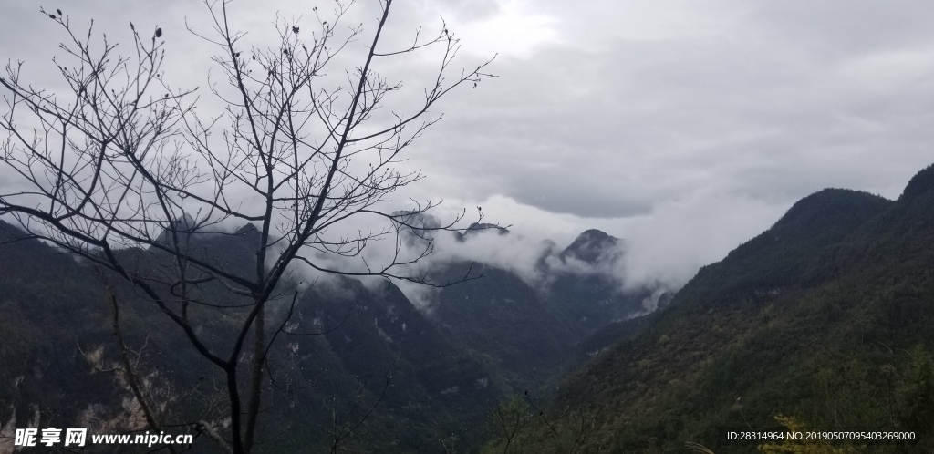 山
