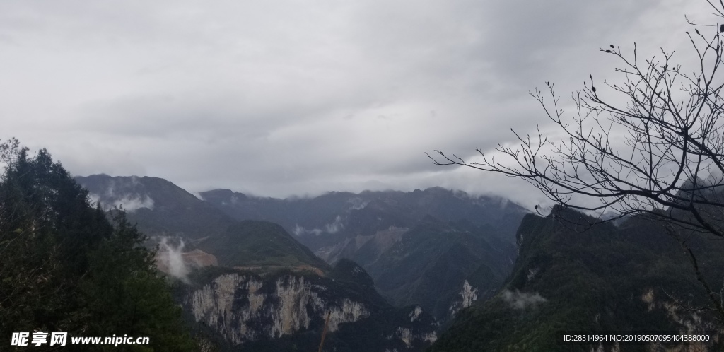 山