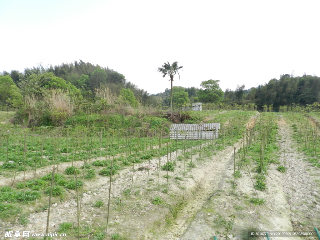 種植基地