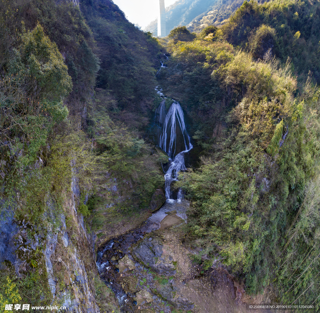 山 水 風光 瀑布 霧 生態