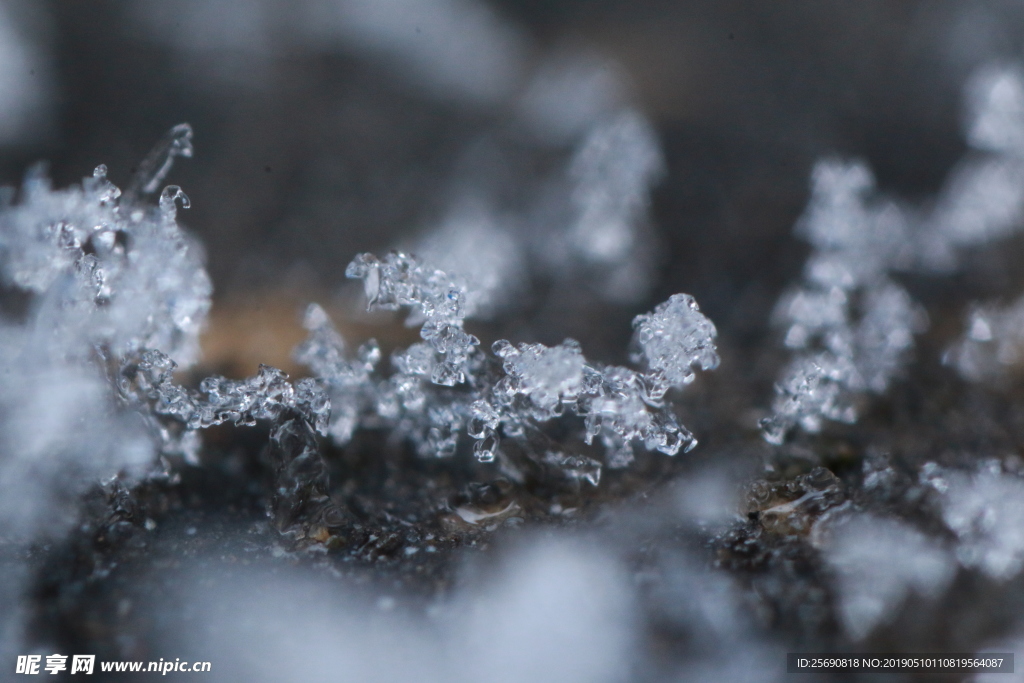 雪景 雪花 微距 攝影 自然