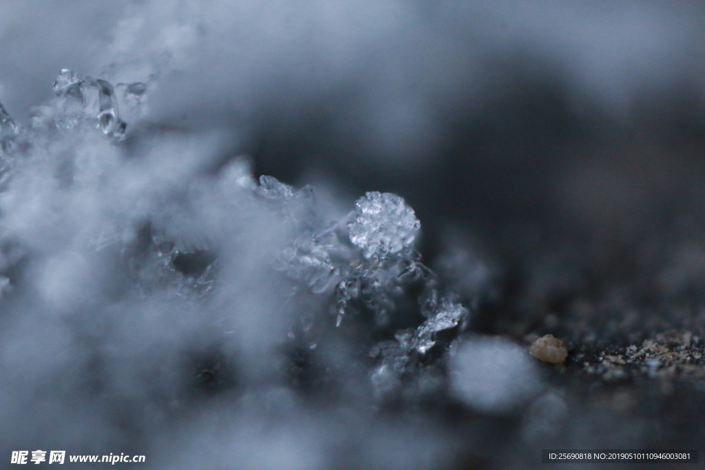 雪景 雪花 微距 攝影 自然