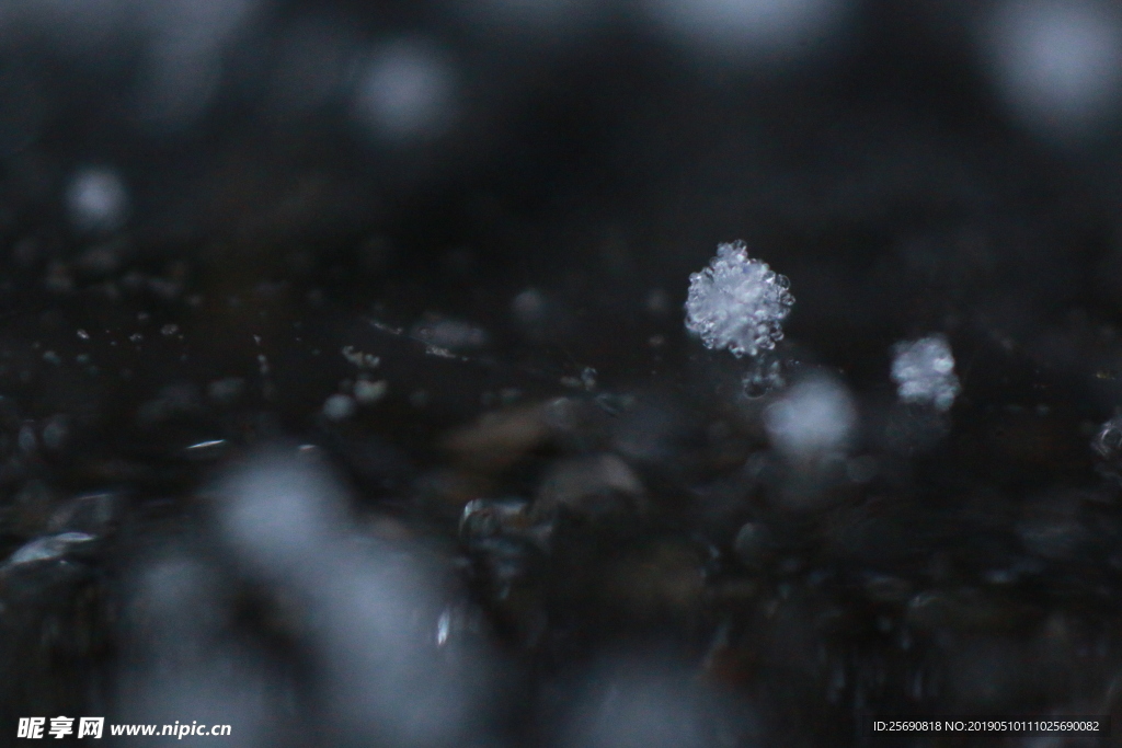 雪景雪花微距