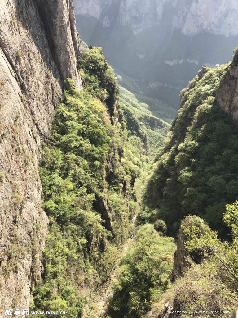 山
