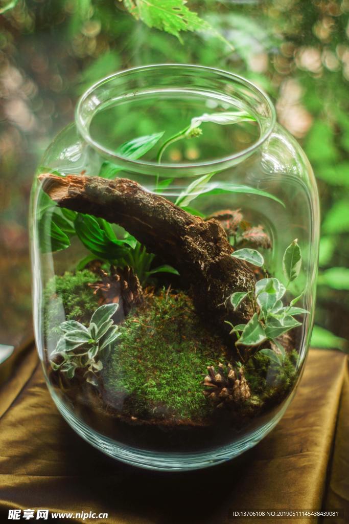 微縮瓶景