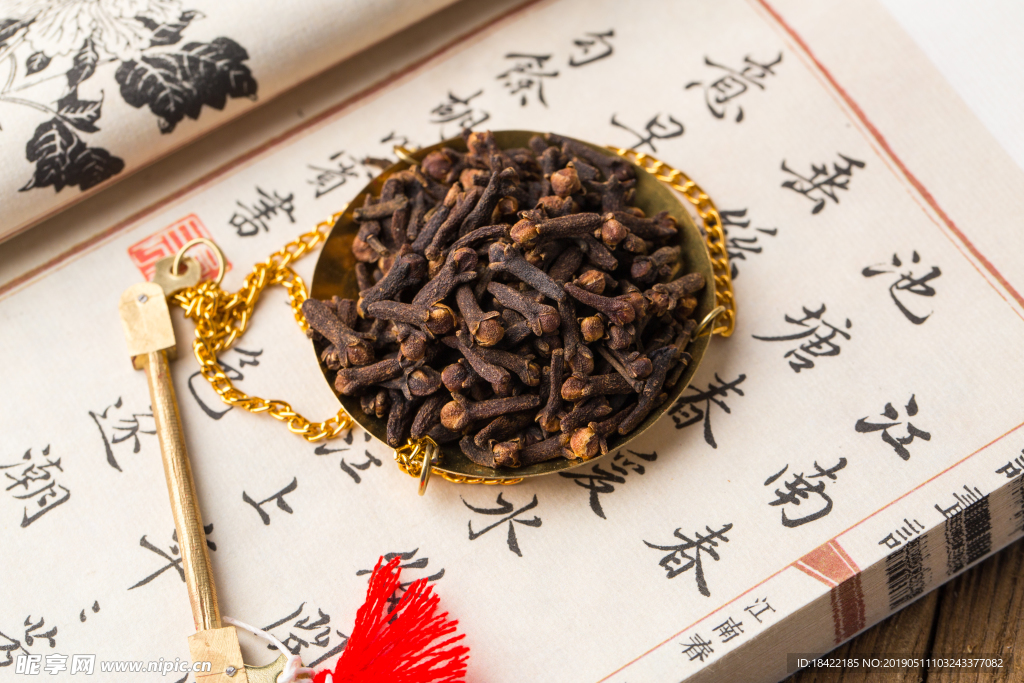 公丁香
