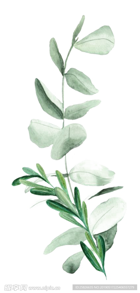 綠植