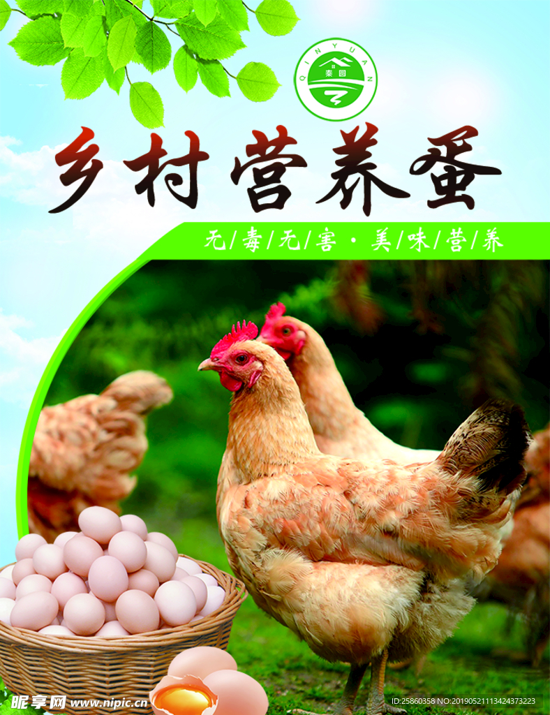 鄉(xiāng)村營養(yǎng)蛋