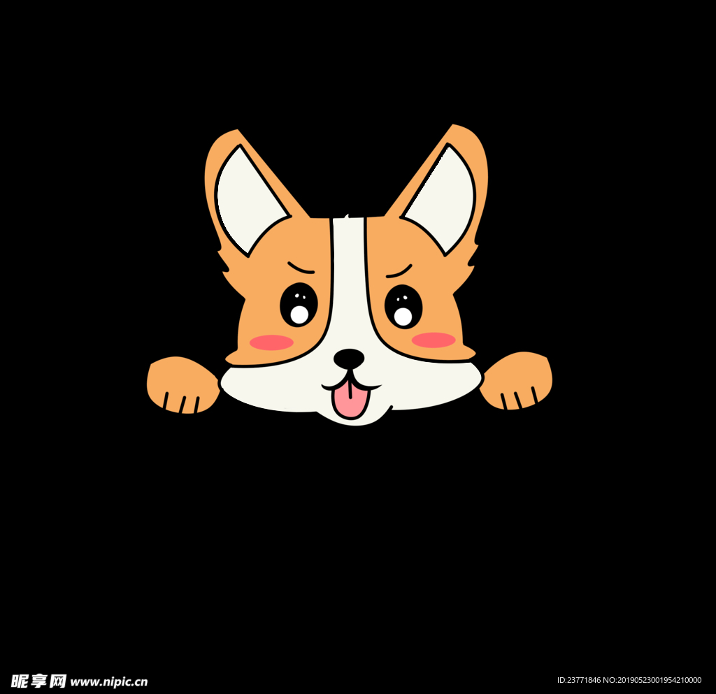 柯基