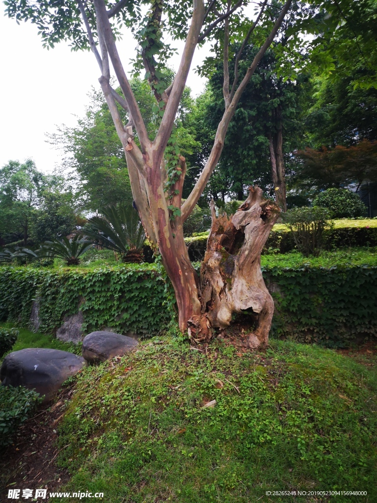 公園小景