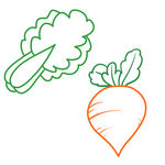 蔬菜 白菜 萝卜