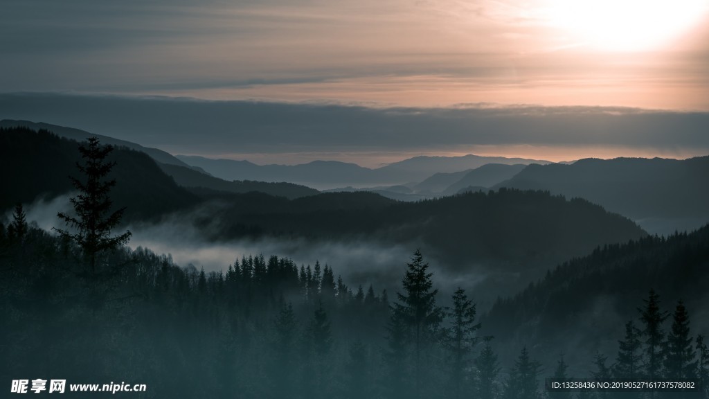 群山樹林