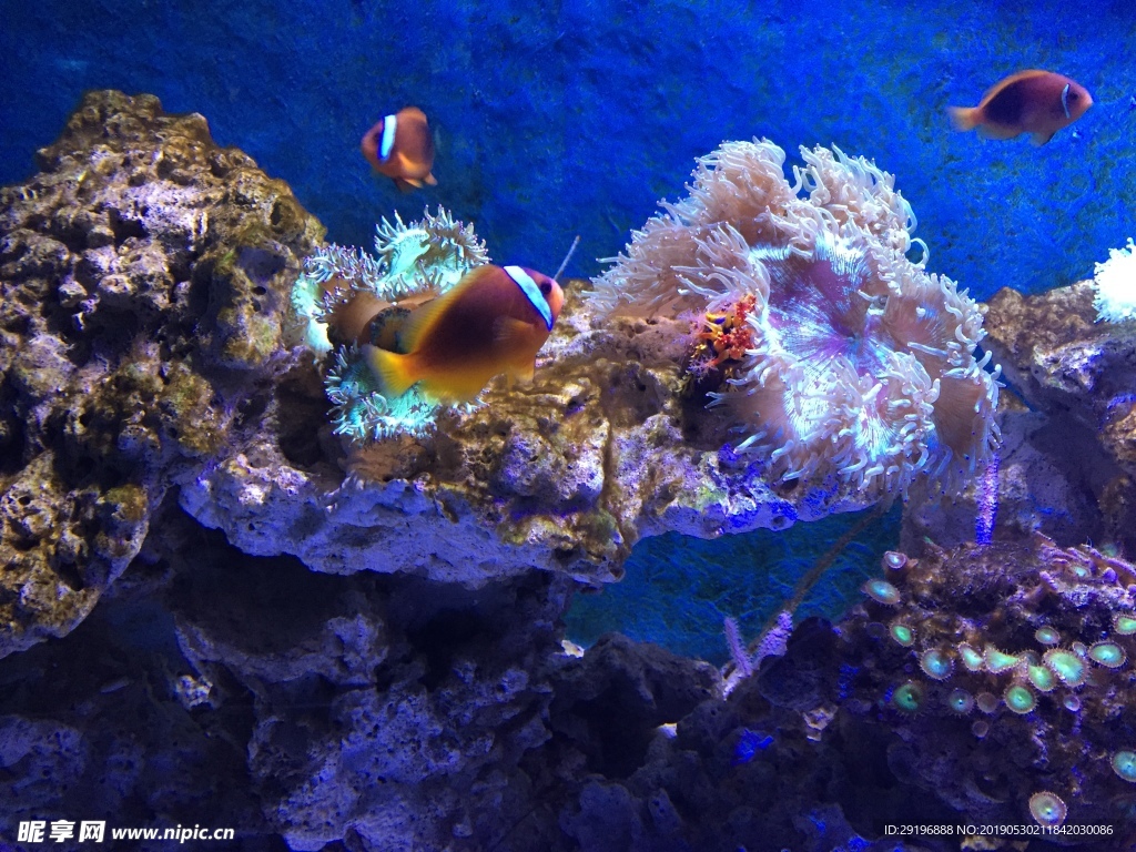 海底世界