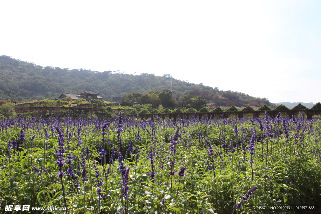 廣東潮汕風(fēng)景