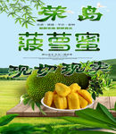 紅肉菠蘿蜜