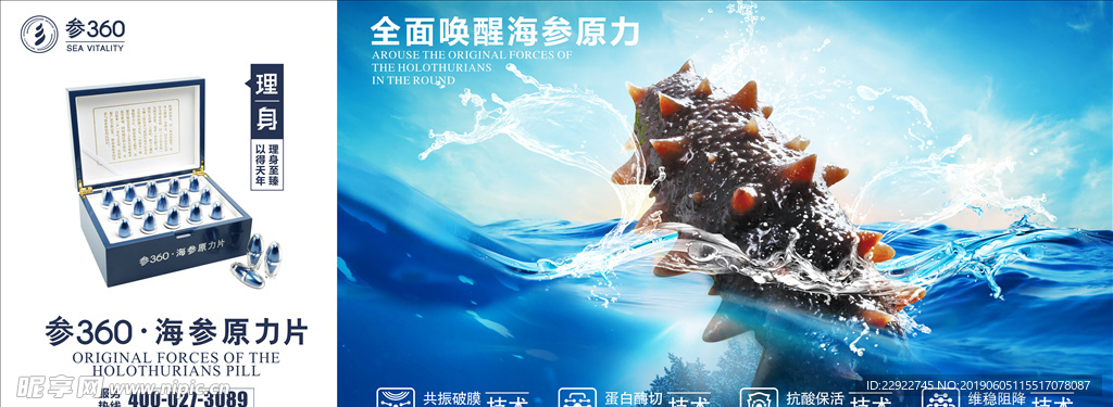 海参 养生  海鲜 广告 宣传