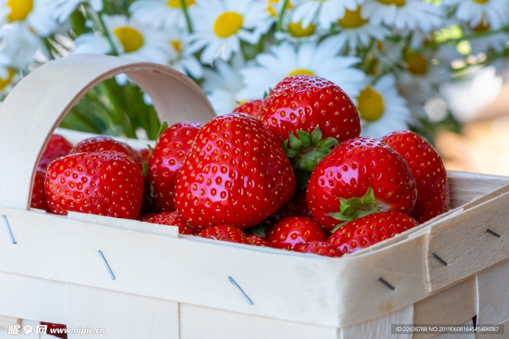 草莓图片素材唯美图片水果图片