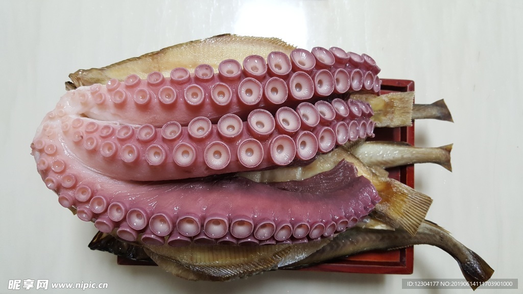 章魚