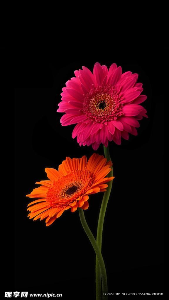 花