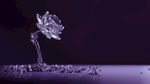 莲花水晶紫色晶体