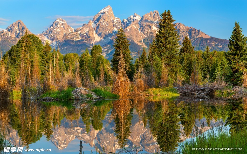 山水叢林風景