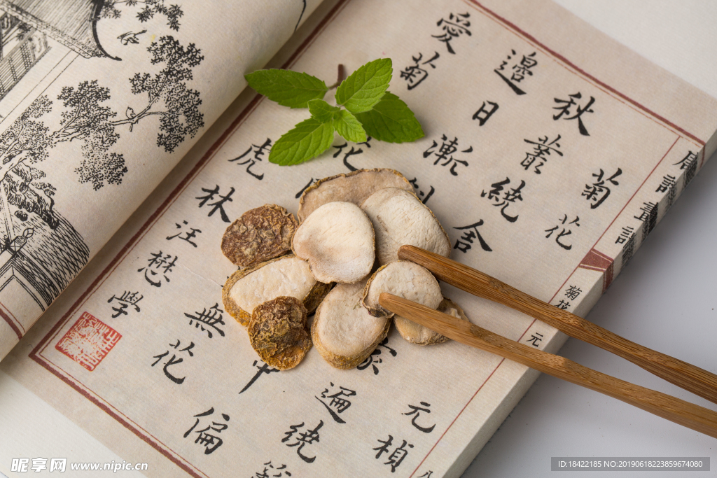 貝母