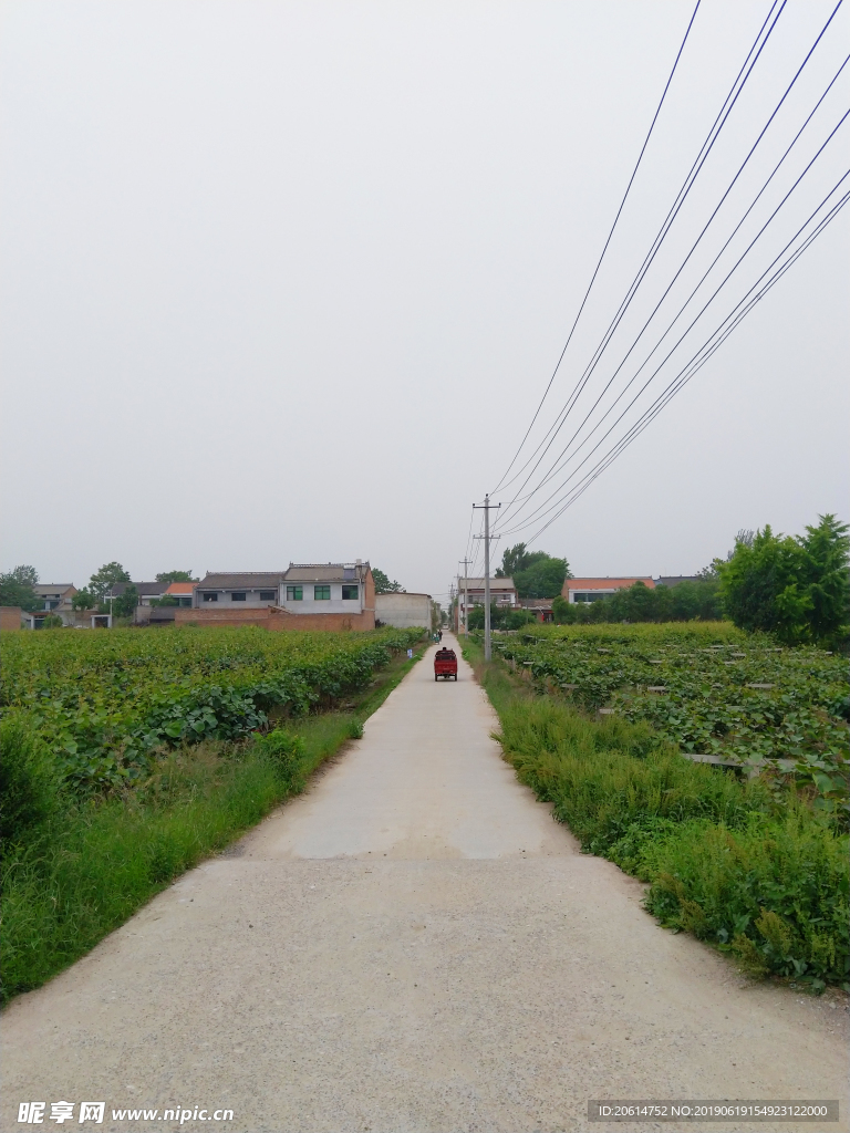 鄉(xiāng)村田園風(fēng)景
