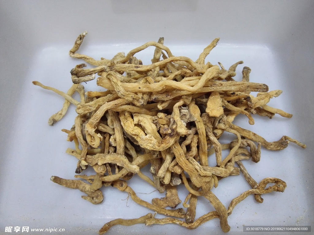 玉竹
