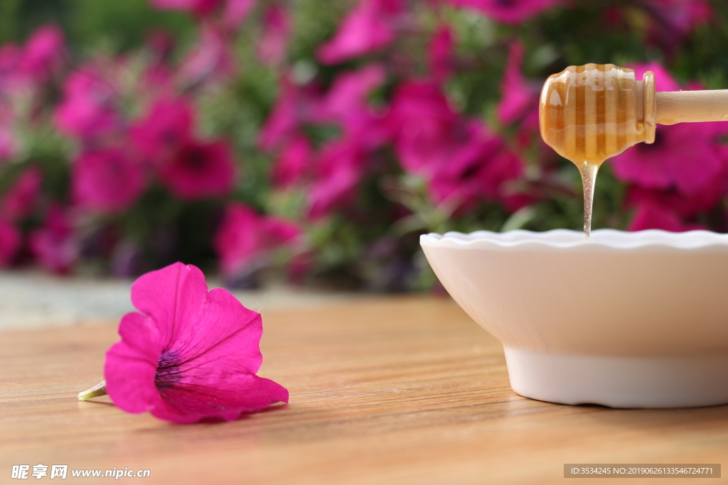 塑料瓶装的蜂蜜土蜂蜜洋蜂蜜槐花