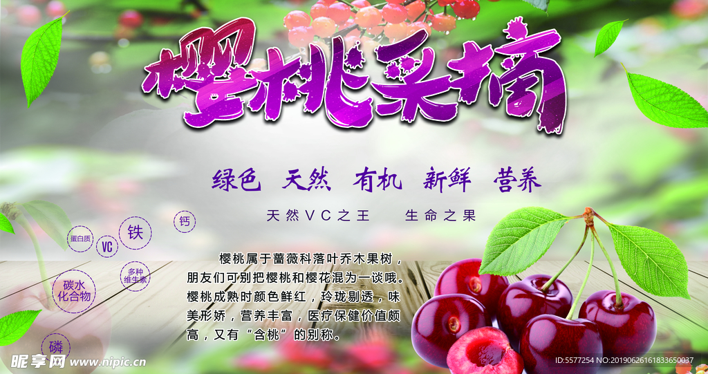 櫻桃海報