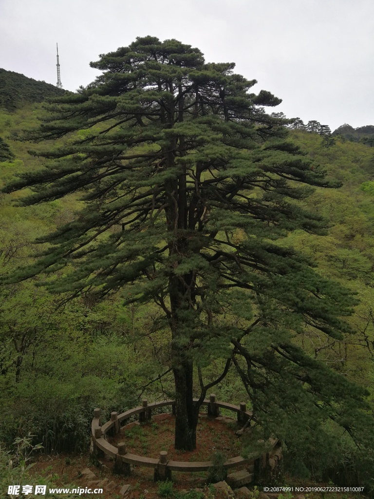 黃山美景