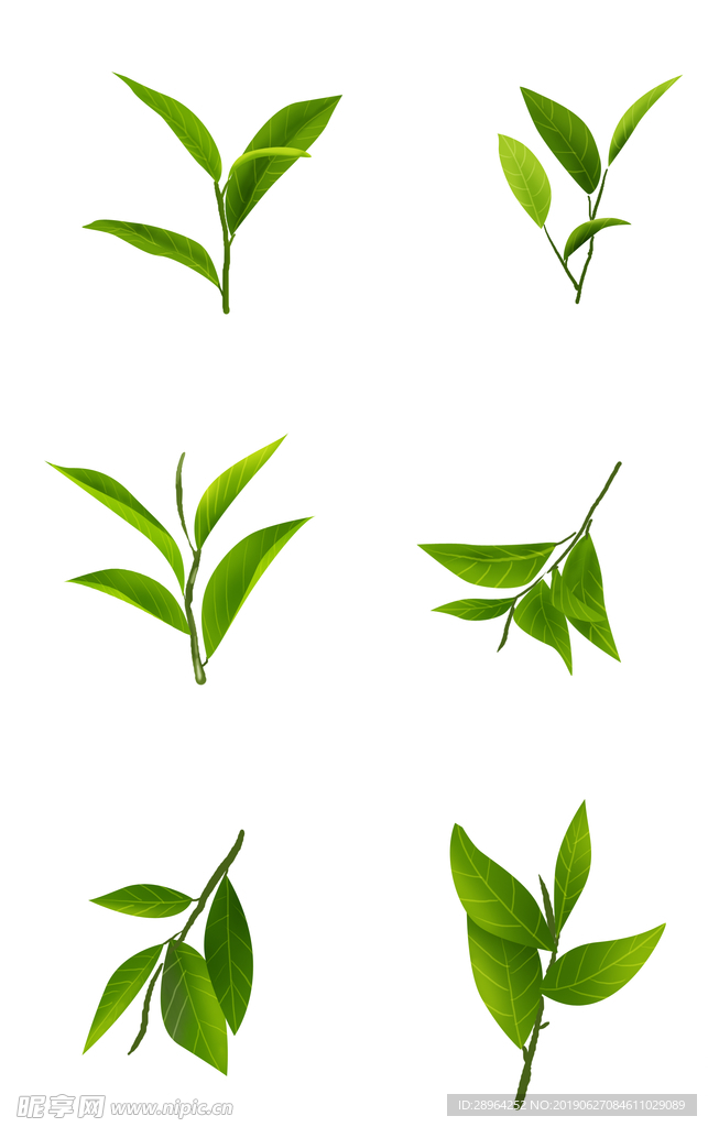 樹葉茶葉竹葉免扣
