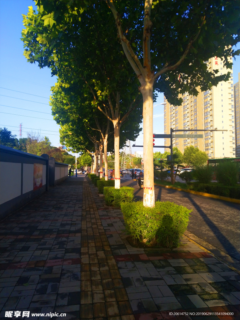 城市道路風(fēng)景