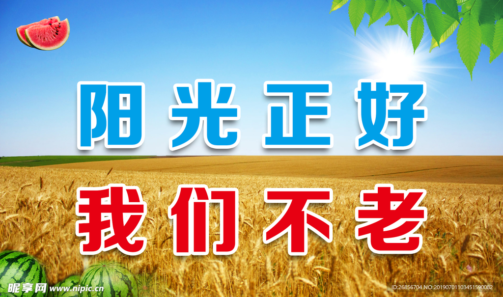 金色 麥田 小麥 麥穗 西瓜