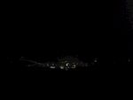 夜景