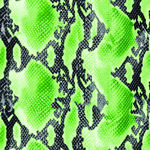 绿色蛇皮 可变色蛇皮花纹 花型