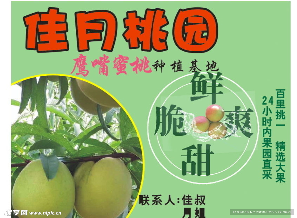 鷹嘴蜜桃