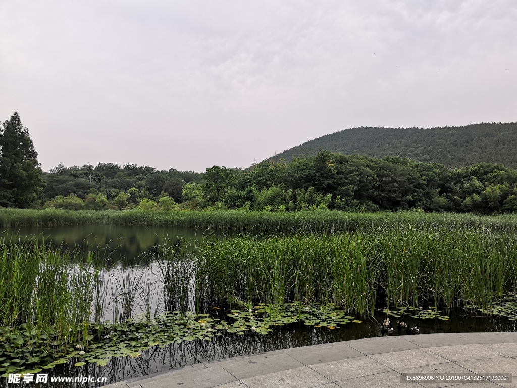 森林公園