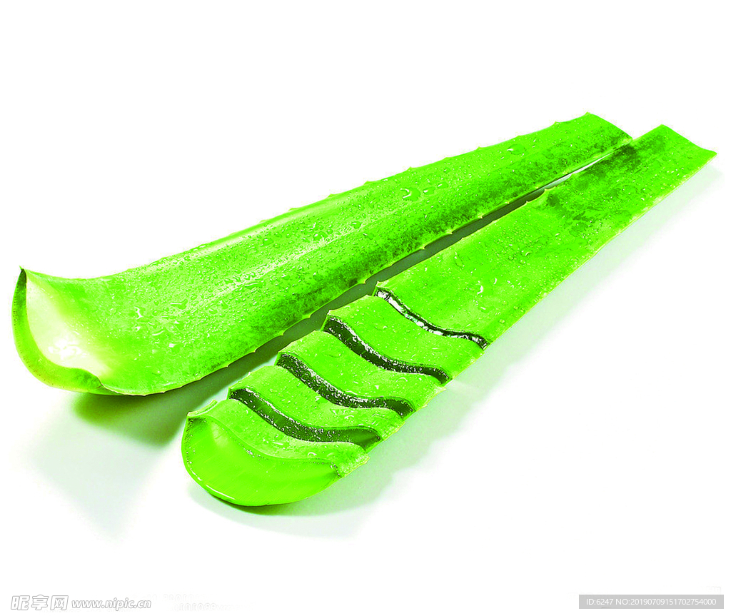 蘆薈