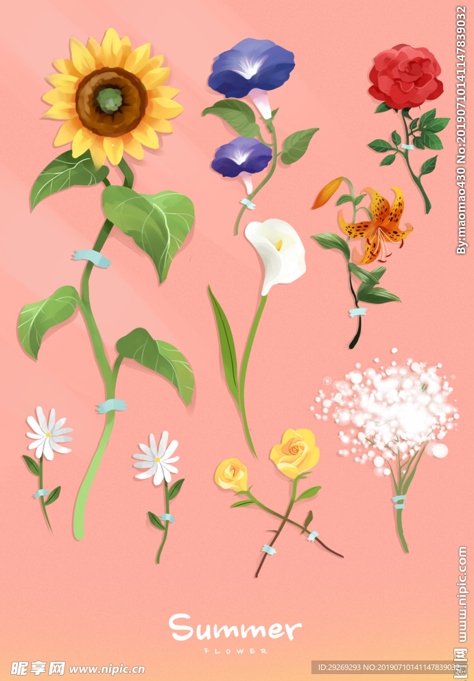 卡通手绘鲜花植物