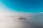云雾中的树