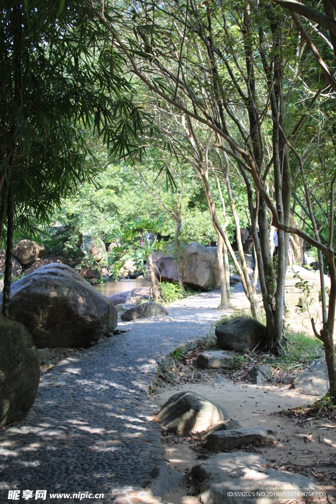清幽石子路小徑道路